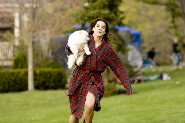 The Proposal Free Online Movies Tv Shows At Gomovies