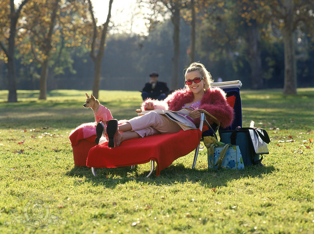 Legally Blonde Free Online Movies Tv Shows At Gomovies
